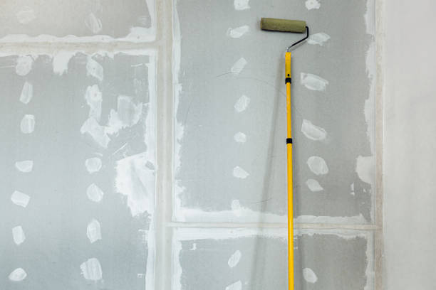 Best Mold Damage Restoration  in Tomah, WI
