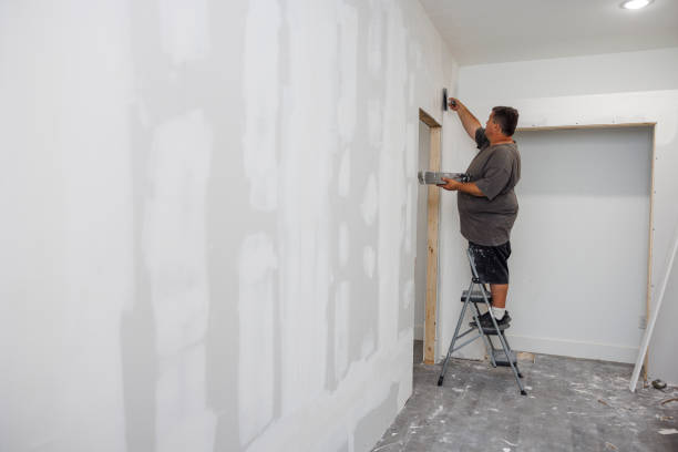Best Environmental Consulting for Mold Prevention  in Tomah, WI