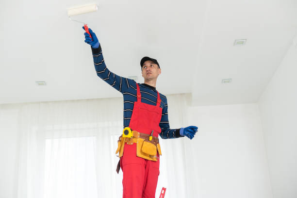 Best Dehumidification Services  in Tomah, WI