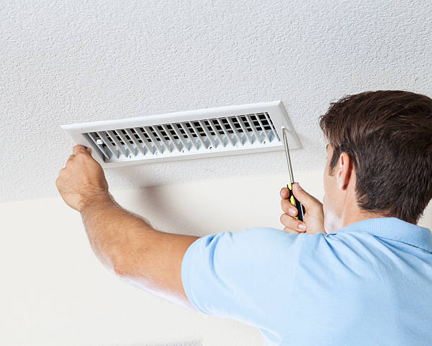 Best Forensic Mold Investigation  in Tomah, WI