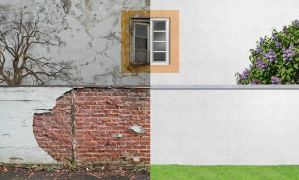 Professional Mold Removal in Tomah, WI