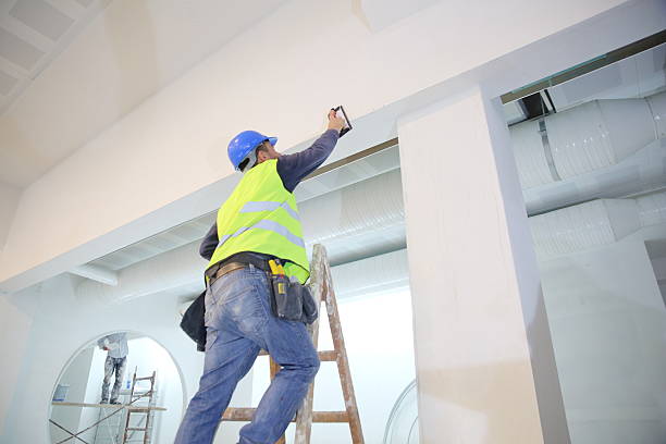 Best Post-Construction Mold Inspection  in Tomah, WI