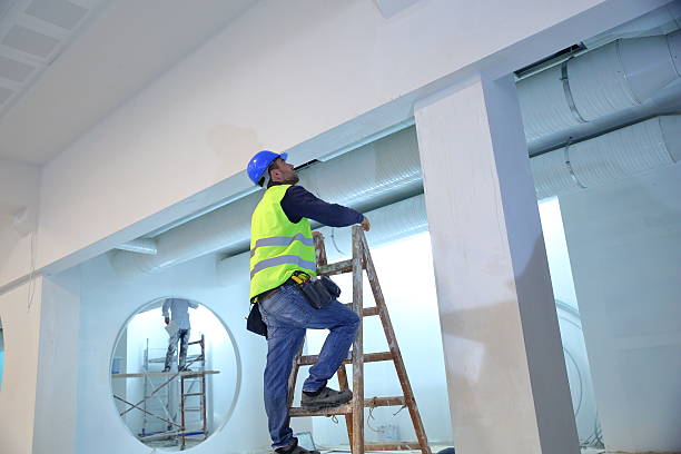 Best Industrial Mold Remediation  in Tomah, WI