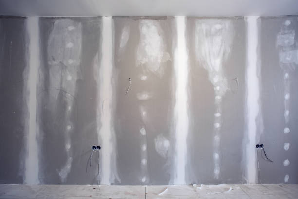 Best Water Damage & Mold Remediation  in Tomah, WI